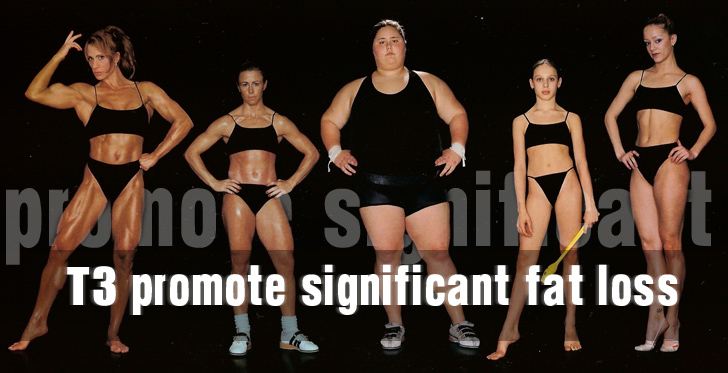 promote significant fat loss