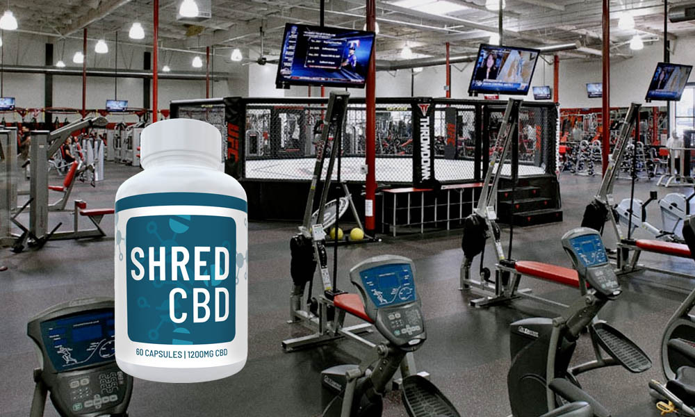 Shred CBD Review